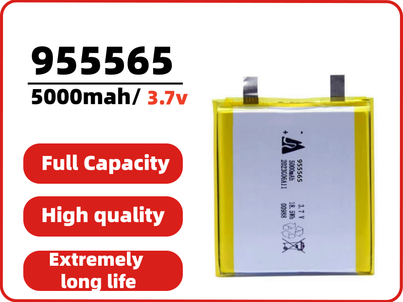 Power bank battery